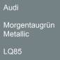 Preview: Audi, Morgentaugrün Metallic, LQ85.